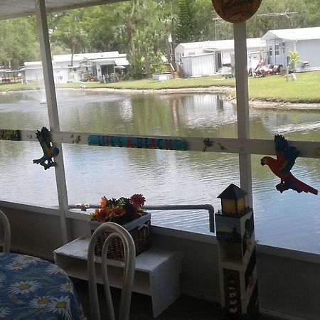 Oak Springs Rv Resort Port Richey Dış mekan fotoğraf